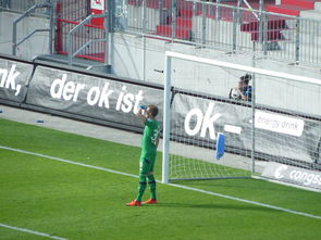 od体育官方入口-多特蒙德主场遭遇惨败，汉堡队力压对手取得胜利，多特蒙德比赛分析